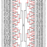 全少2024_1年生男子形トーナメント表