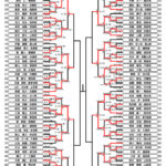 全少2024_4年生男子形トーナメント表