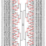 全少2024_5年生女子形トーナメント表