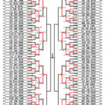 全少2024_5年生男子形トーナメント表