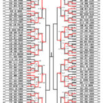 全少2024_6年生女子形トーナメント表
