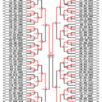 全少2024_５年生男子組手トーナメント表
