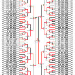 全少2024_６年生女子組手トーナメント表