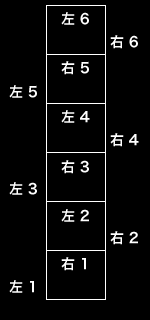 ラダートレーニング 指導内容 西村誠司組手組手テクニックセミナー