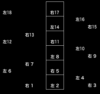 ラダートレーニング 指導内容 西村誠司組手組手テクニックセミナー